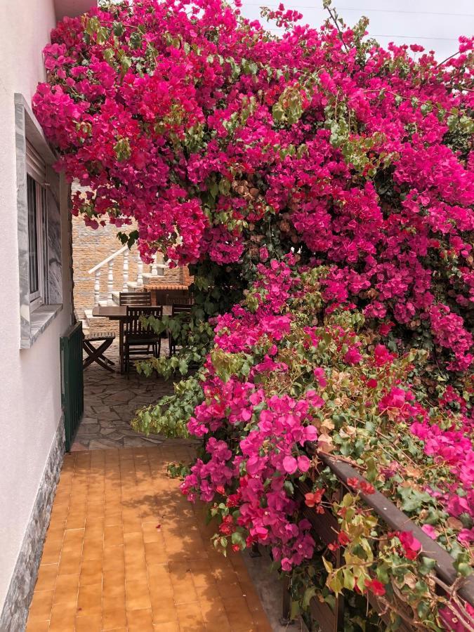 Lagun Bed & Breakfast Santo Isidoro Exterior photo